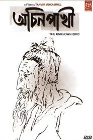Achin Pakhi