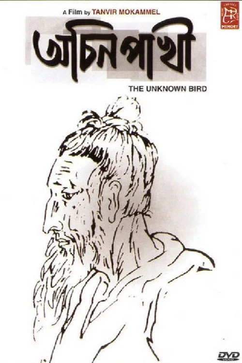 Achin Pakhi