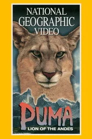 Puma: Lion of the Andes