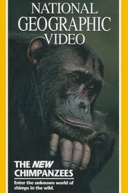 The New Chimpanzees