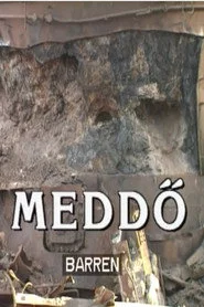 Meddő