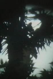映像書簡5