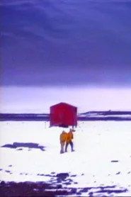Voyage d'hiver