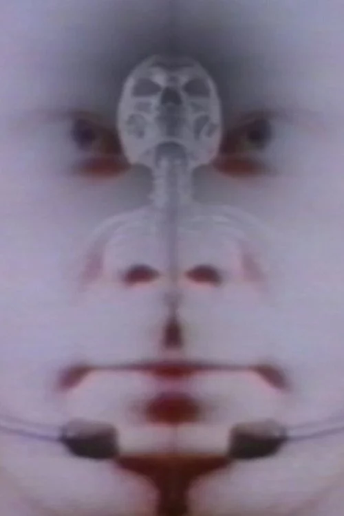Deux Fois L'Univers
