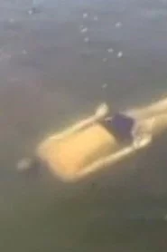 东方三侠