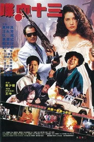 風塵十三姨