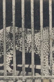Zoo
