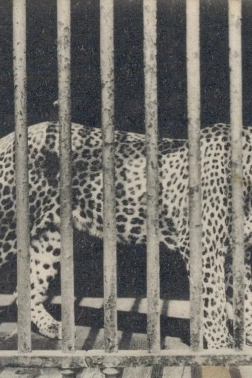 Zoo