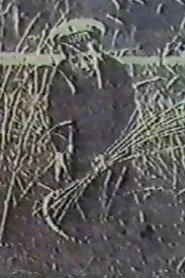 Ангел жатвы