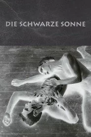 Die schwarze Sonne