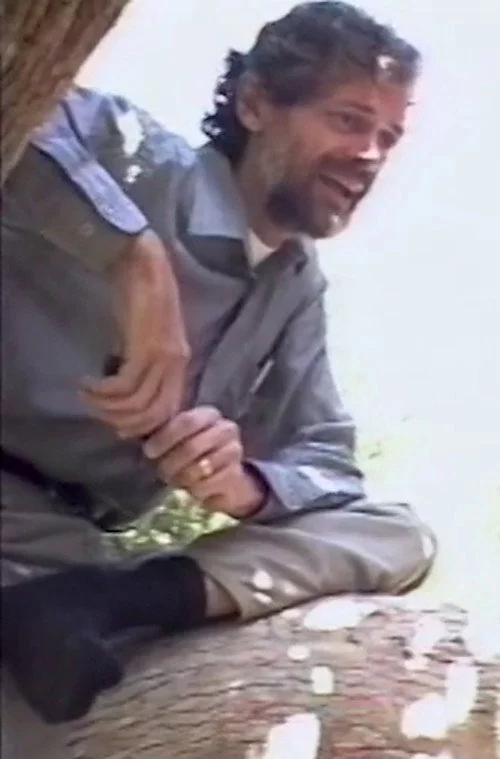 Antecedence: Terence McKenna Talks Virtual Reality
