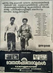 വേനൽക്കിനാവുകൾ