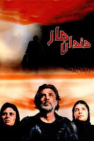 دندان مار