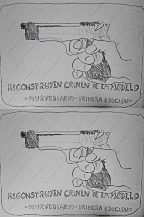 Reconstruyen crimen de la modelo