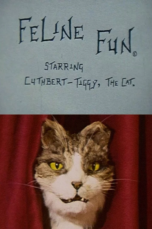 Feline Fun