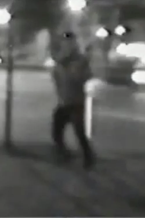 我爱我的祝国