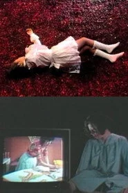 清子の場合