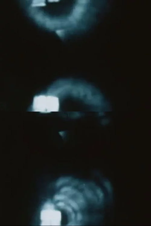 Film Stenopeico (L’uomo senza macchina da presa)