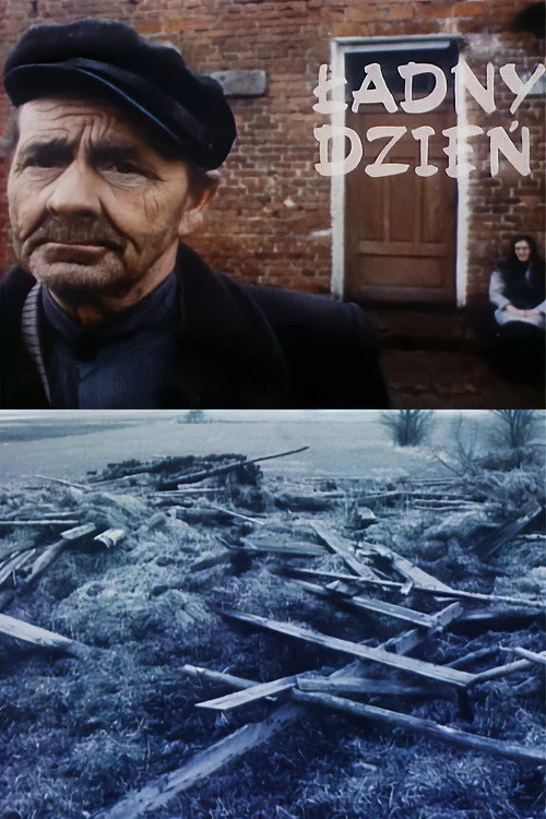 Ładny dzień