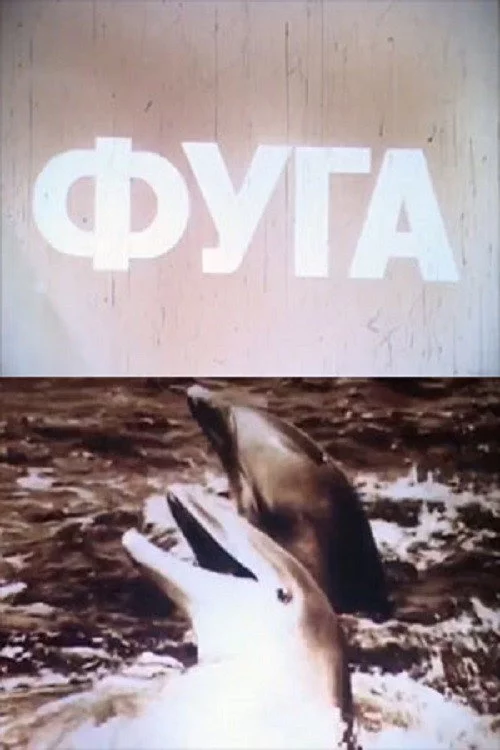 Фуга