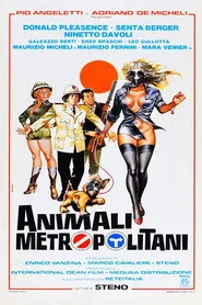 Animali metropolitani