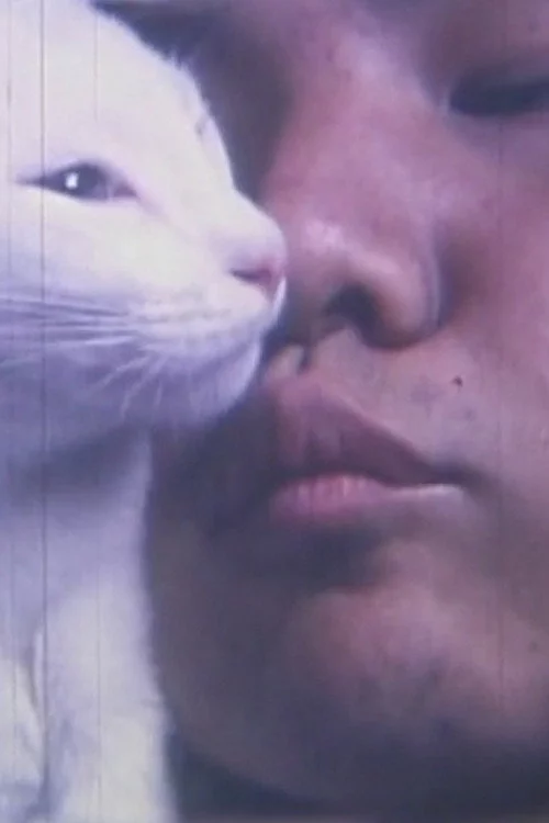 わびしゃび