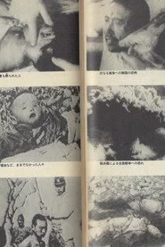 理解与选择