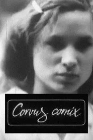 Corvus Cornix — с латинского ворона