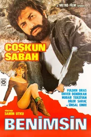 Benimsin