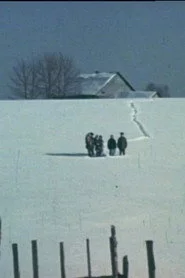 Фермеры