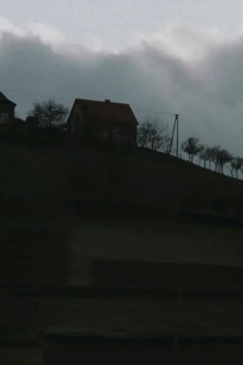 Dedykacja