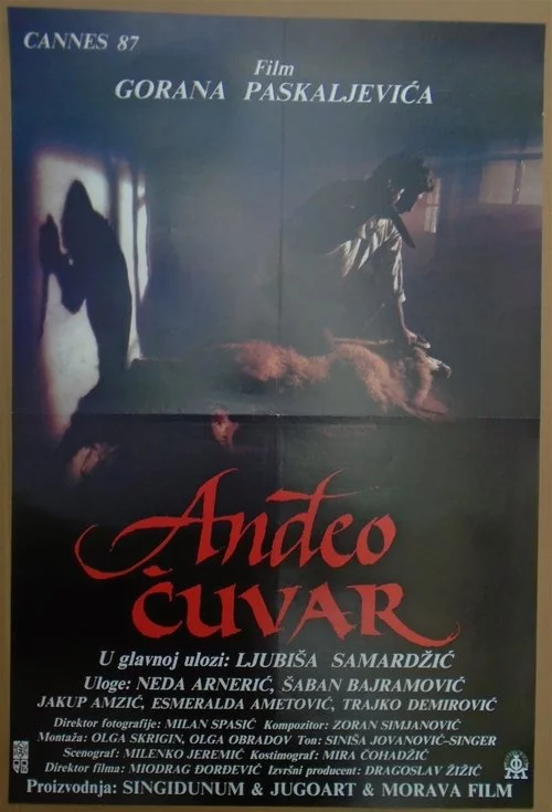 Anđeo čuvar