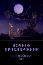 Ночное приключение