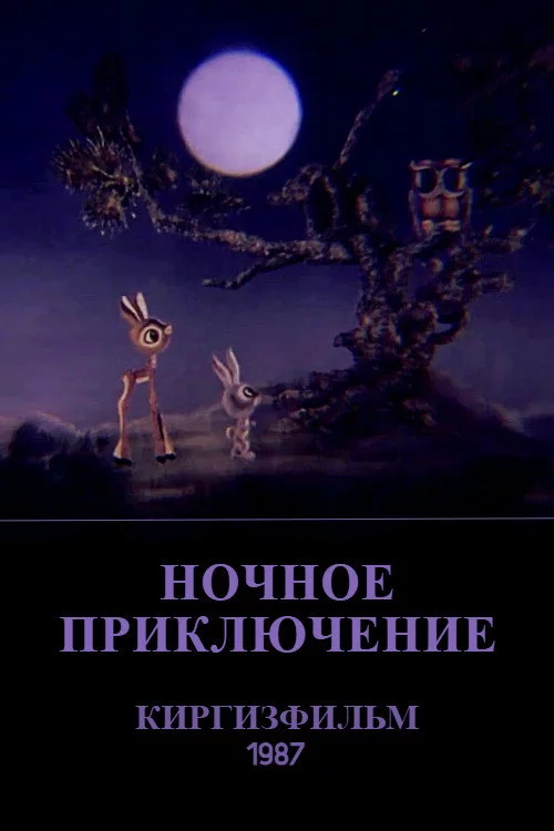 Ночное приключение