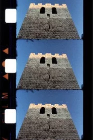 Cinq films d’août
