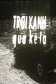 Ván bài lật ngửa 5: Trời xanh qua kẽ lá