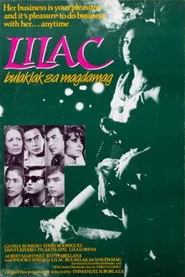 Lilac, Bulaklak sa Magdamag