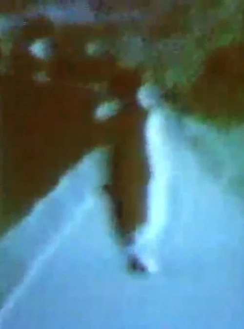 認知構造№XIII 変奏’85