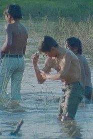 Kinoki Toba