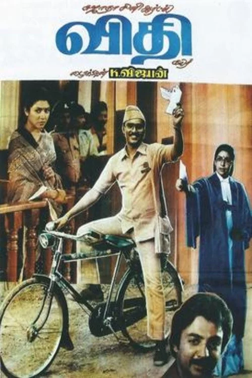 விதி