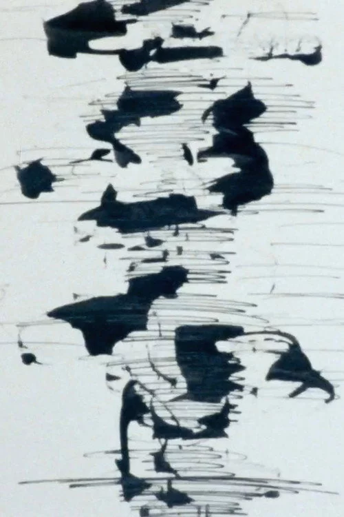 S＝13