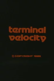 Terminal Velocity