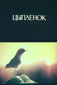 Цыплёнок