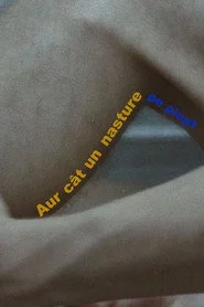 Aur cât un nasture pe piept