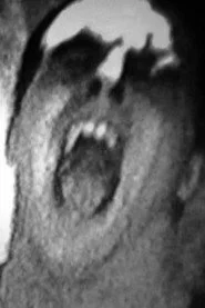 Dont Shout