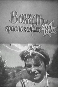 Вождь краснокожих