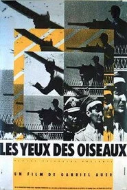 Les yeux des oiseaux