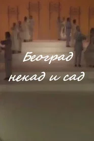 Beograd nekad i sad
