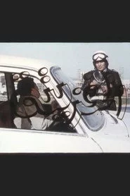الفزيتة
