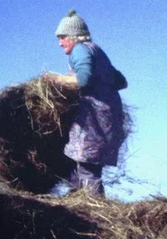 Land Makar